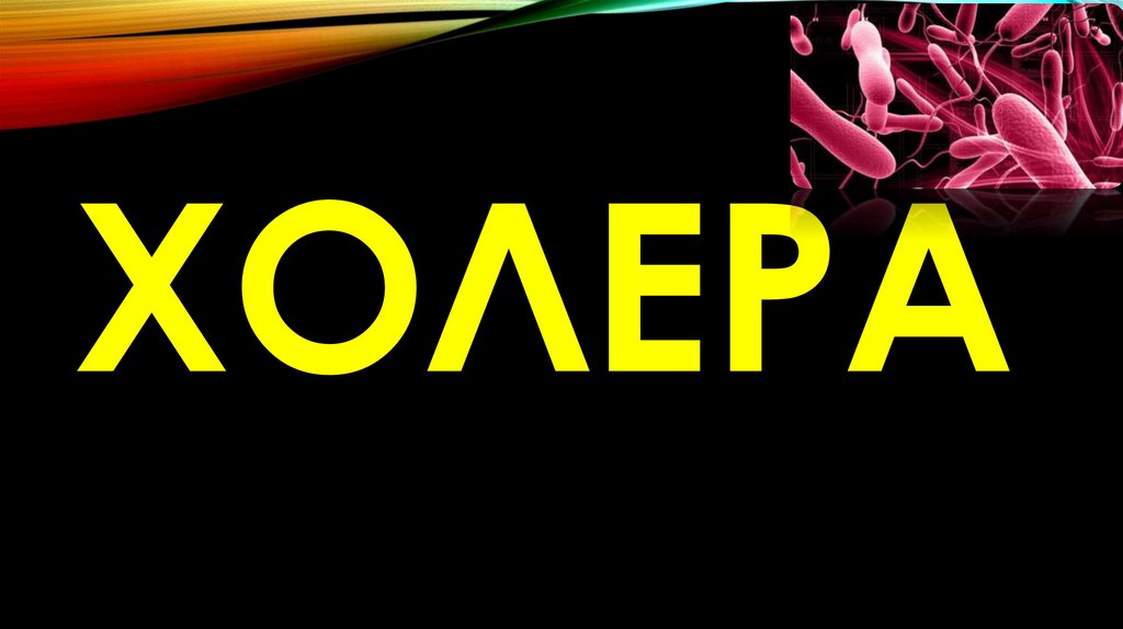 ХОЛЕРА