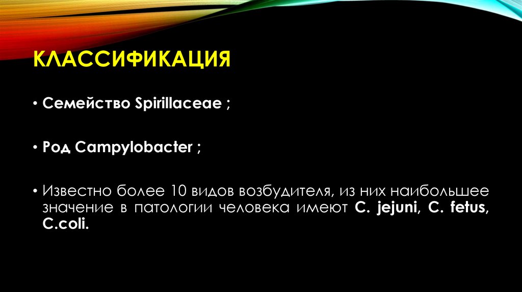 Классификация