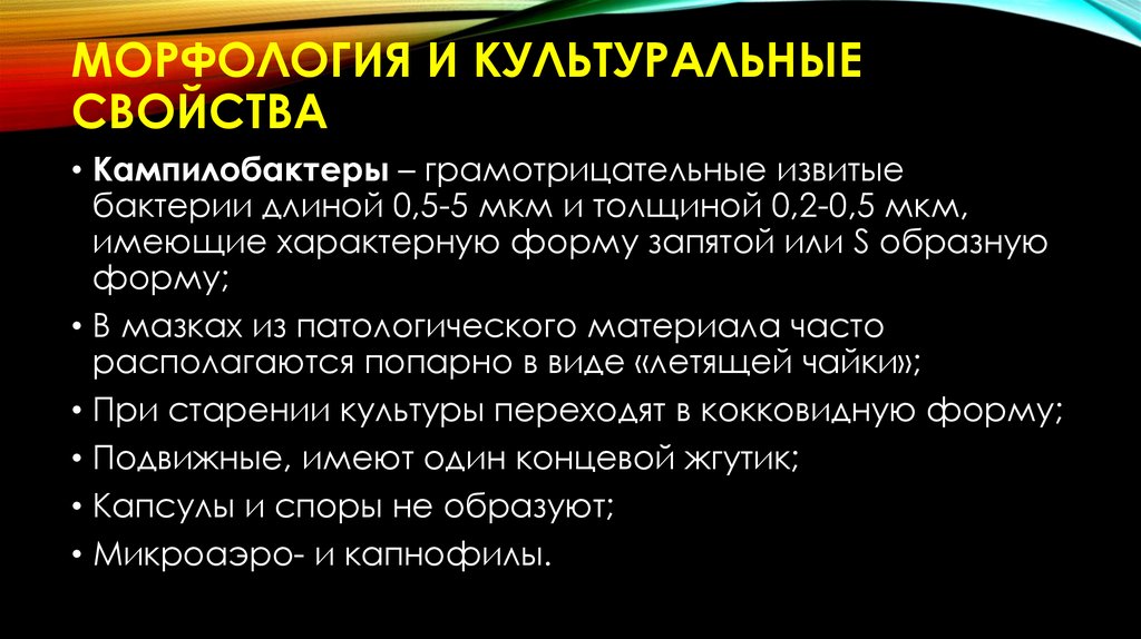 Морфология и культуральные свойства