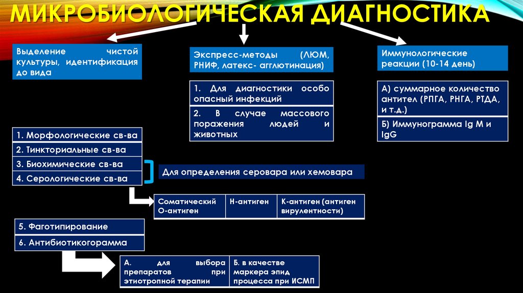 Микробиологическая диагностика