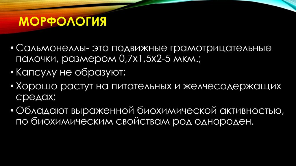 Морфология