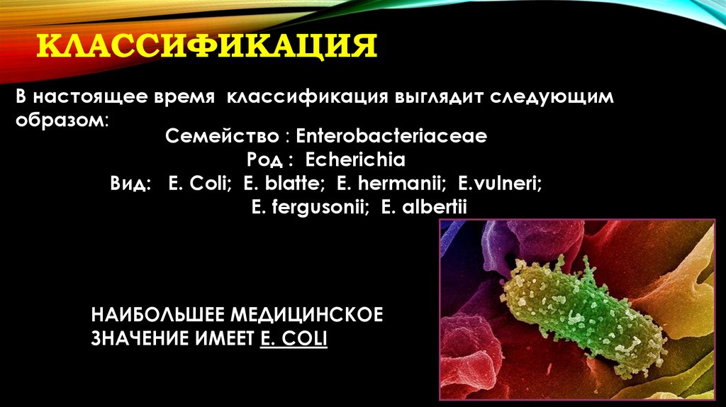 Классификация