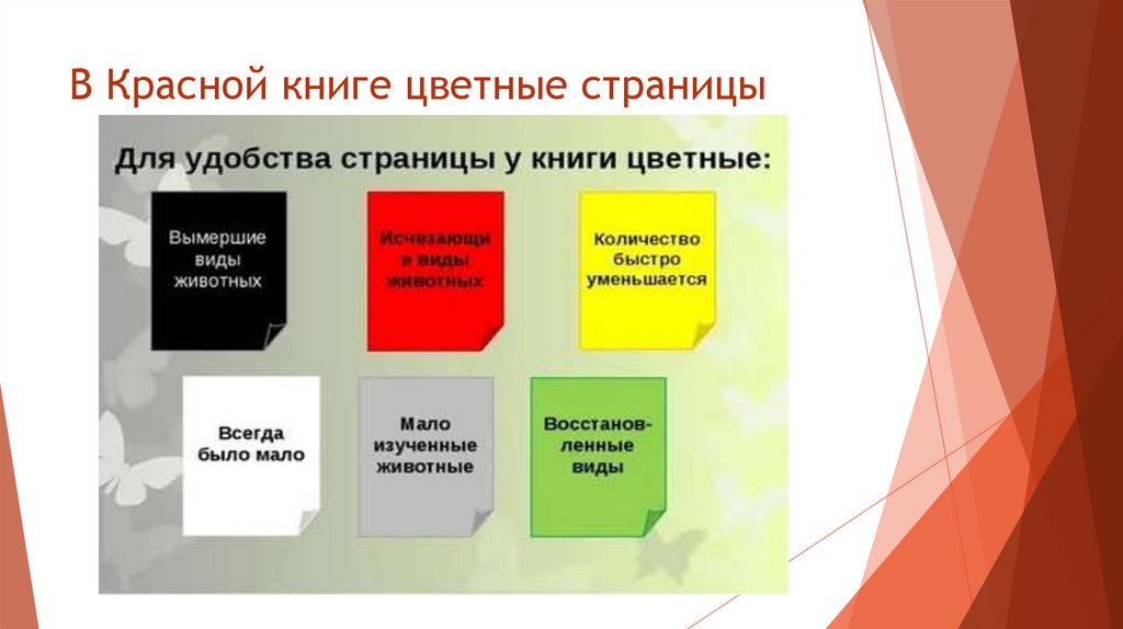 В Красной книге цветные страницы