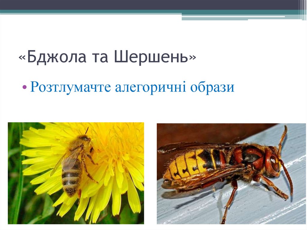 «Бджола та Шершень»