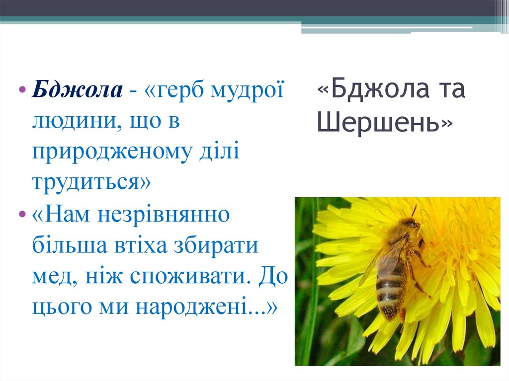 «Бджола та Шершень»