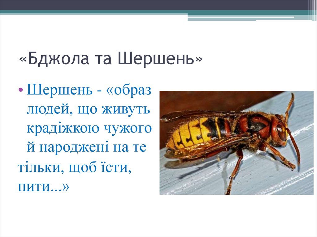 «Бджола та Шершень»