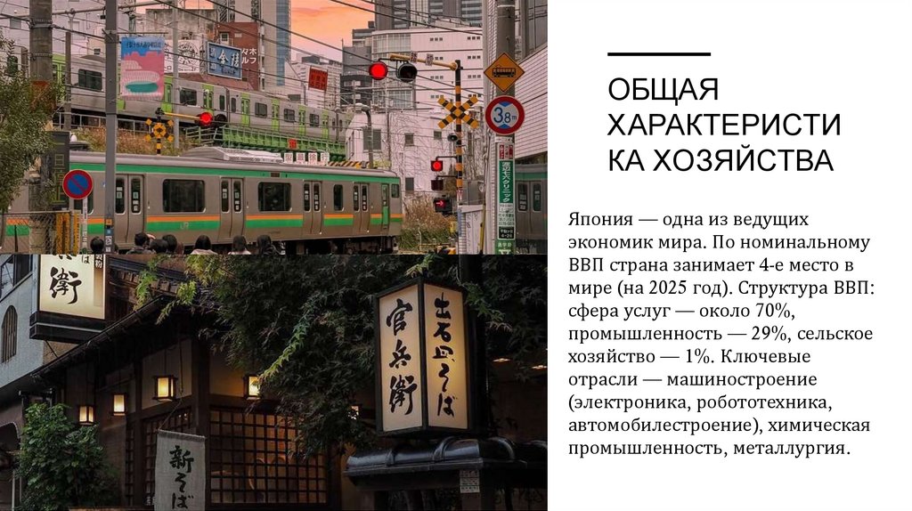 ОБЩАЯ ХАРАКТЕРИСТИКА ХОЗЯЙСТВА