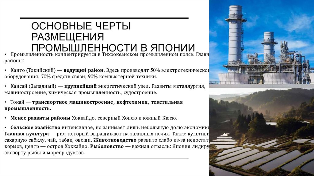 Основные черты размещения промышленности в японии