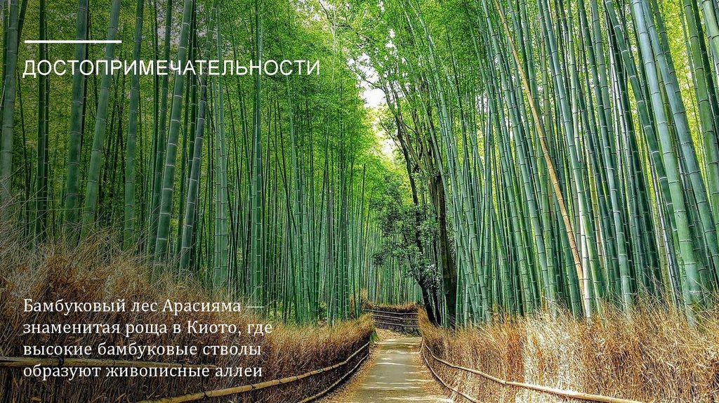 Достопримечательности