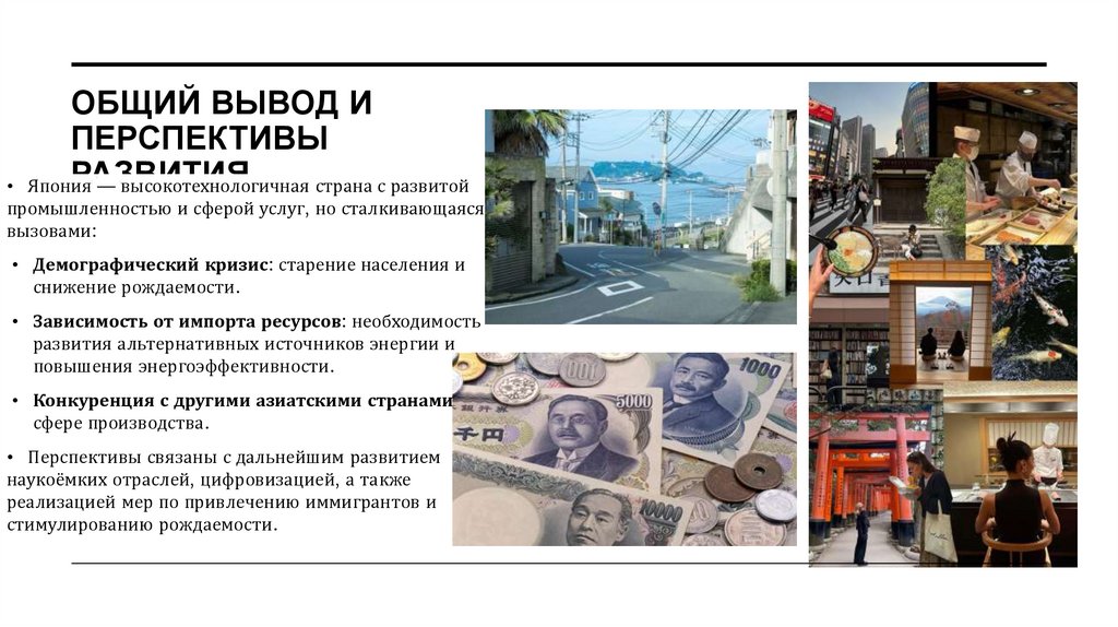 Общий вывод и перспективы развития