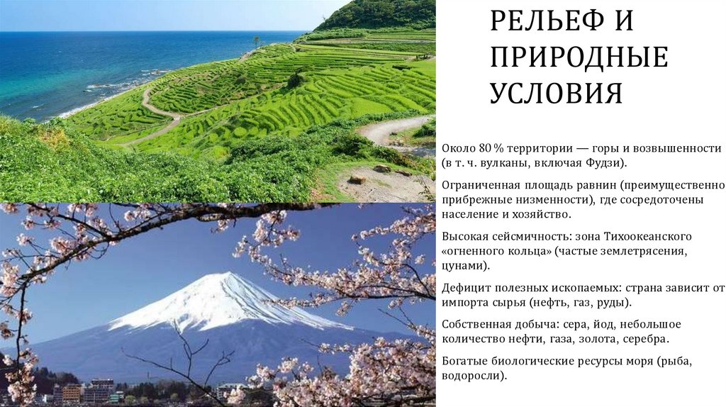 Рельеф и природные условия