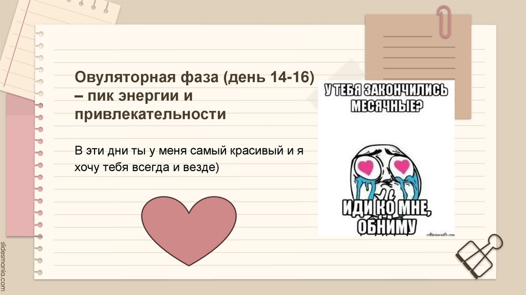 Овуляторная фаза (день 14-16) – пик энергии и привлекательности