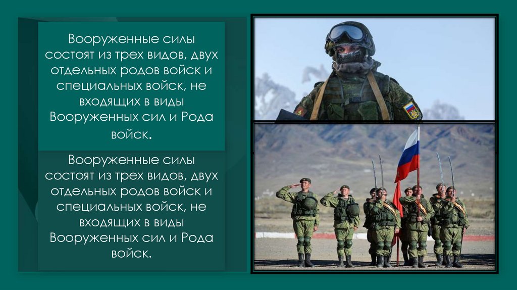 Вооруженные силы состоят из трех видов, двух отдельных родов войск и специальных войск, не входящих в виды Вооруженных сил и