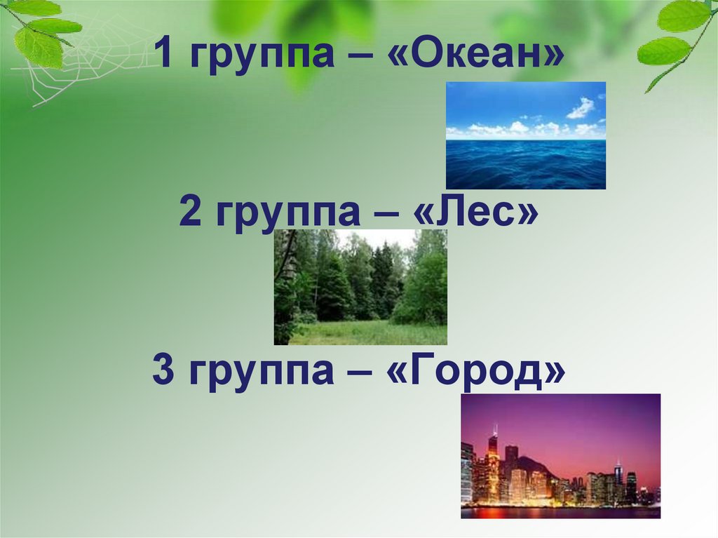 1 группа – «Океан» 2 группа – «Лес» 3 группа – «Город»