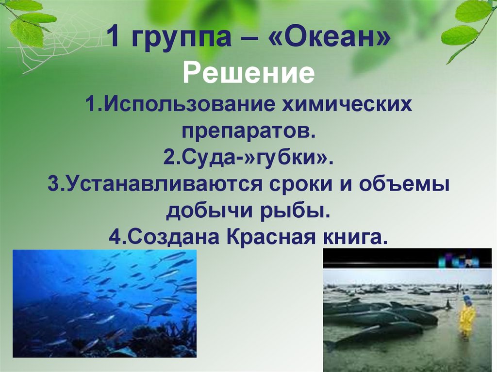 1 группа – «Океан» Решение 1.Использование химических препаратов. 2.Суда-»губки». 3.Устанавливаются сроки и объемы добычи рыбы.