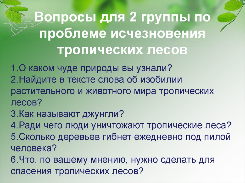 Вопросы для 2 группы по проблеме исчезновения тропических лесов