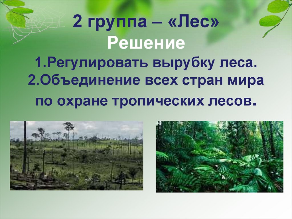 2 группа – «Лес» Решение 1.Регулировать вырубку леса. 2.Объединение всех стран мира по охране тропических лесов.