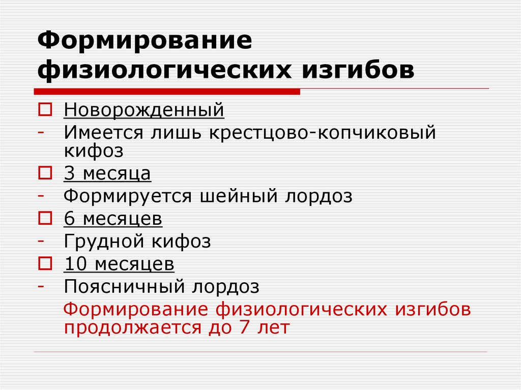 Формирование физиологических изгибов