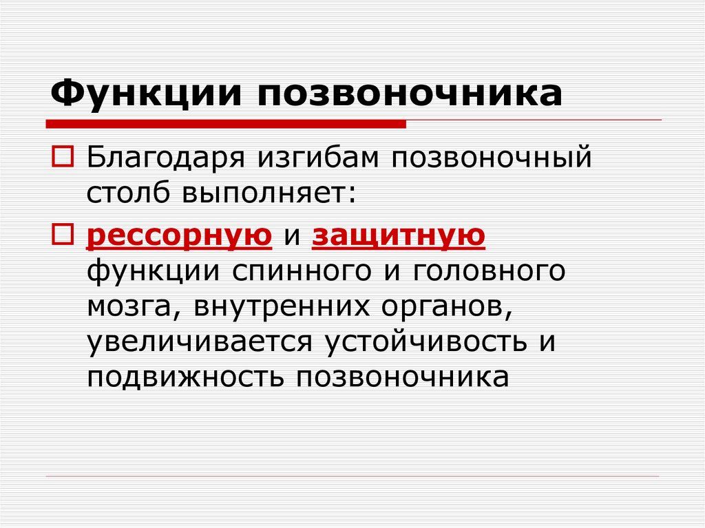 Функции позвоночника