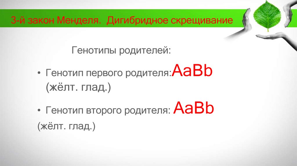 3-й закон Менделя. Дигибридное скрещивание
