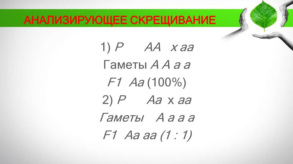 АНАЛИЗИРУЮЩЕЕ СКРЕЩИВАНИЕ