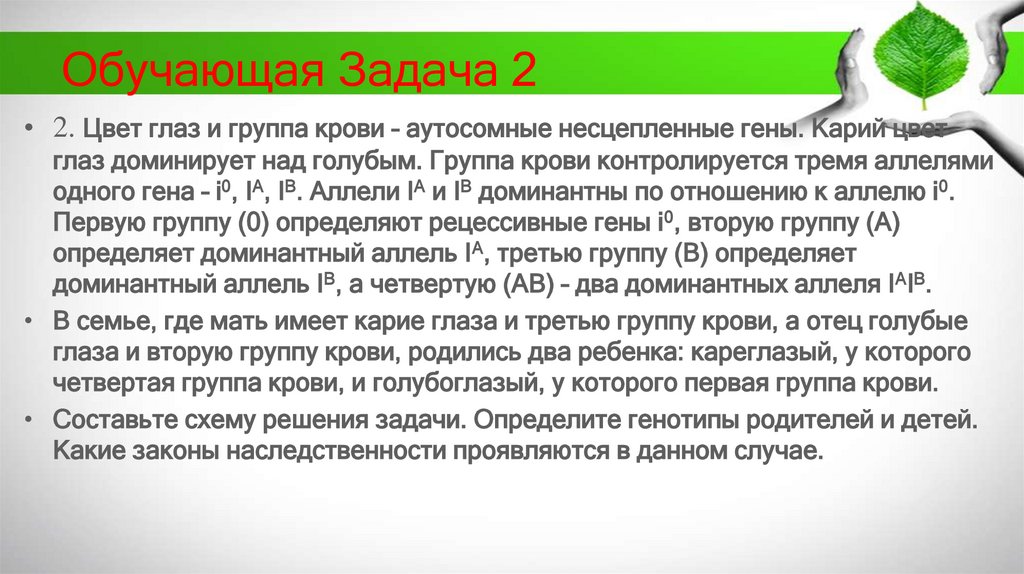 Обучающая Задача 2