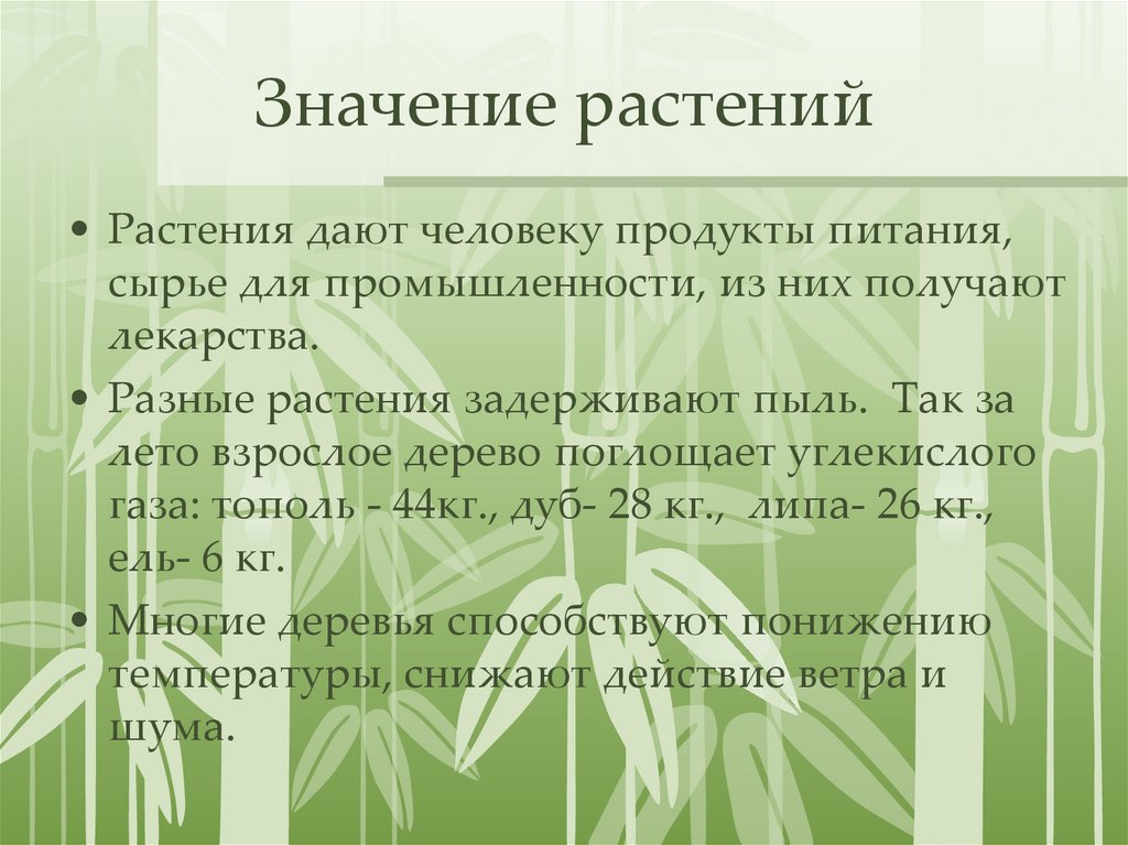 Значение растений