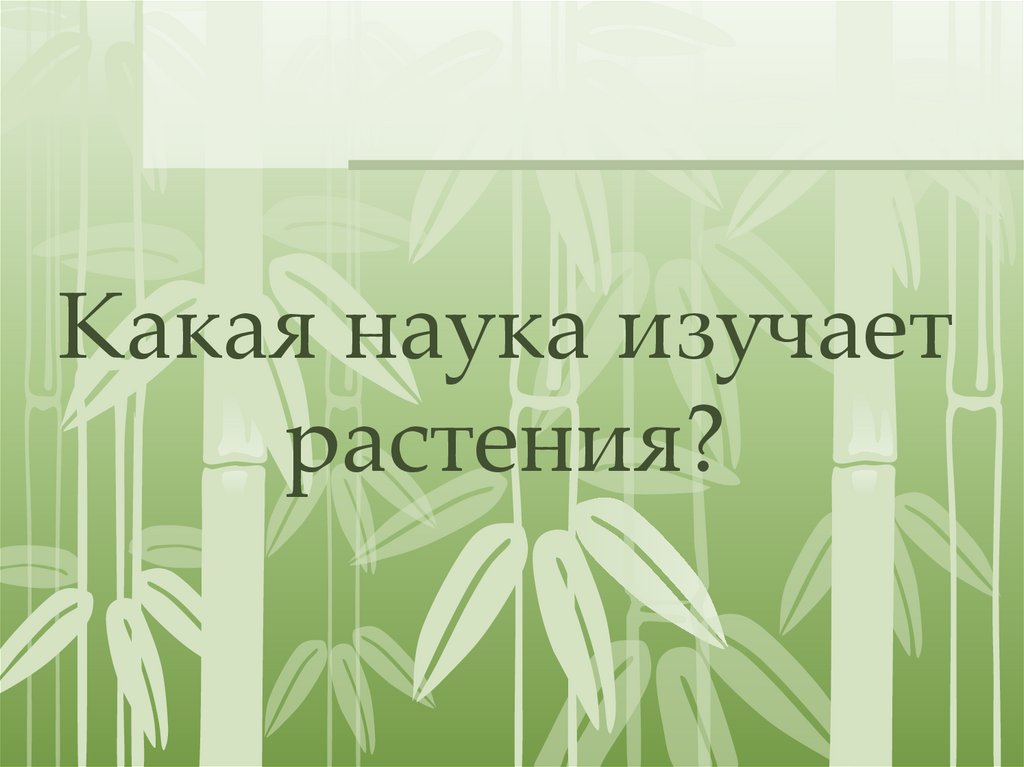 Какая наука изучает растения?