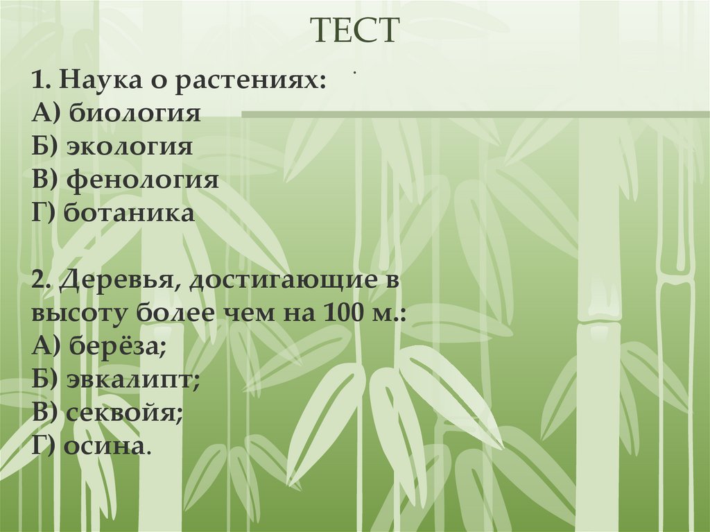 ТЕСТ .