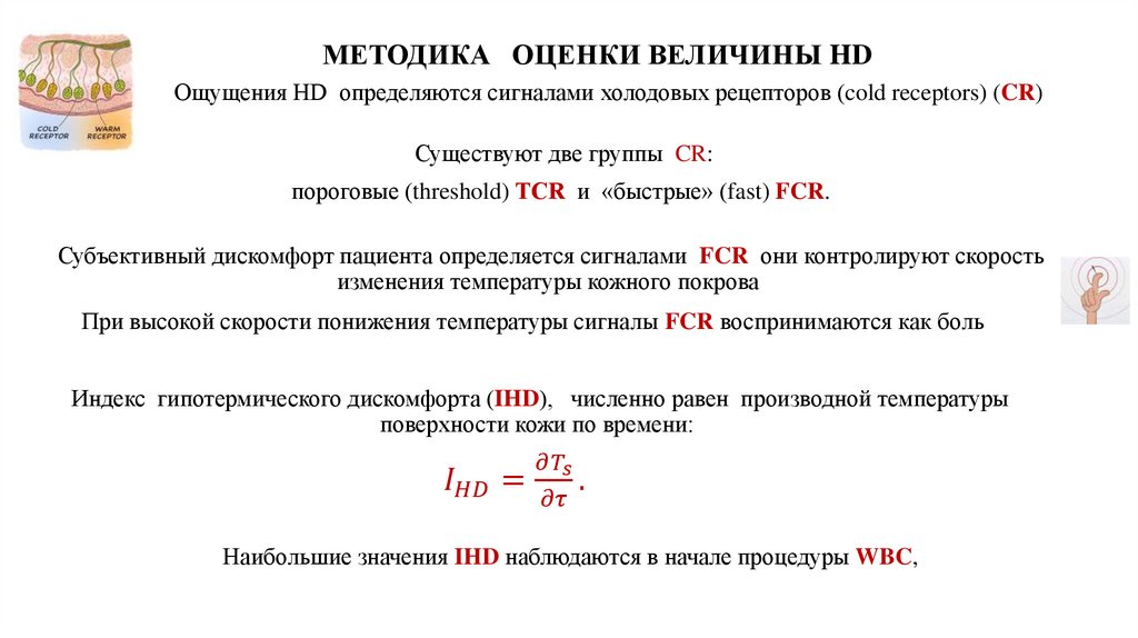 МЕТОДИКА ОЦЕНКИ ВЕЛИЧИНЫ HD