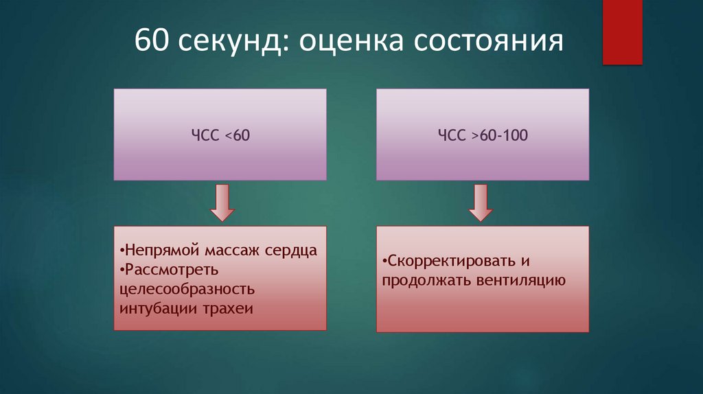 60 секунд: оценка состояния