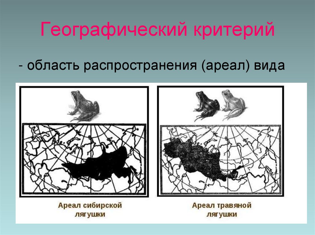 Географический критерий