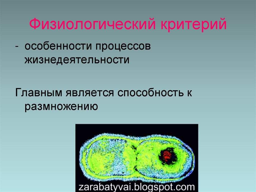 Физиологический критерий