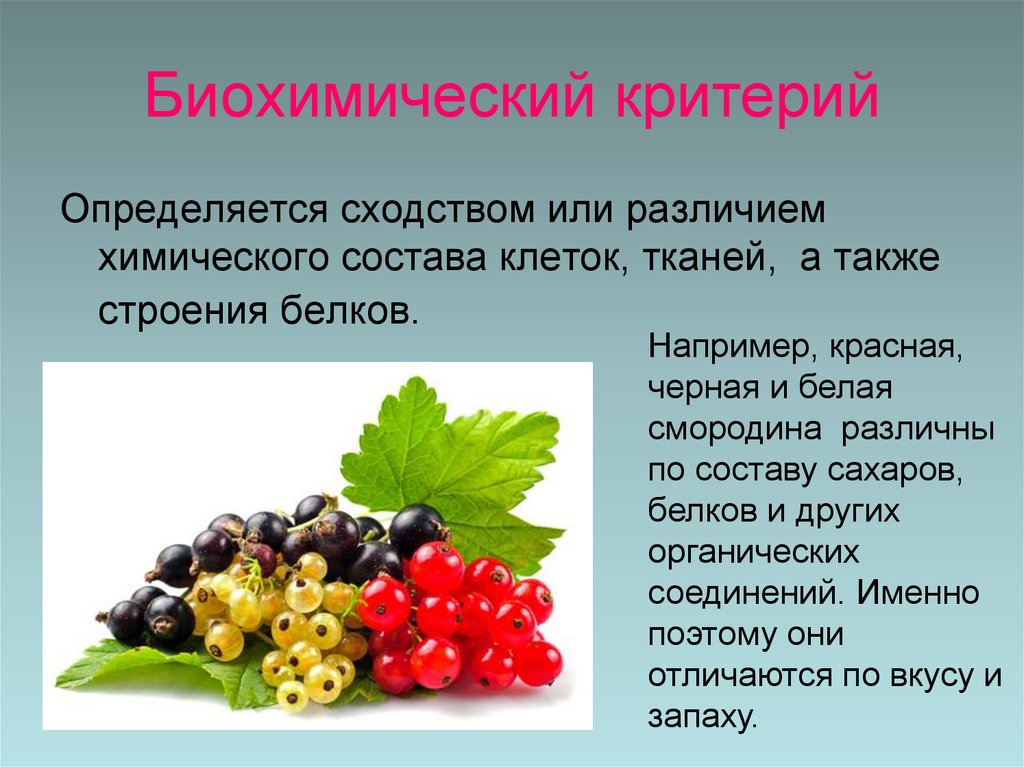 Биохимический критерий