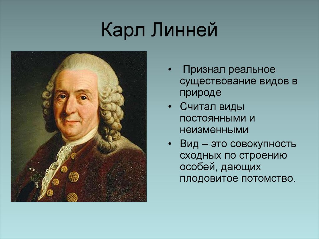 Карл Линней