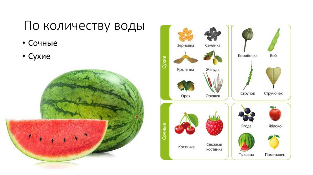 По количеству воды