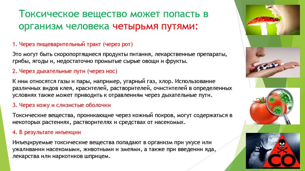 Токсическое вещество может попасть в организм человека четырьмя путями: