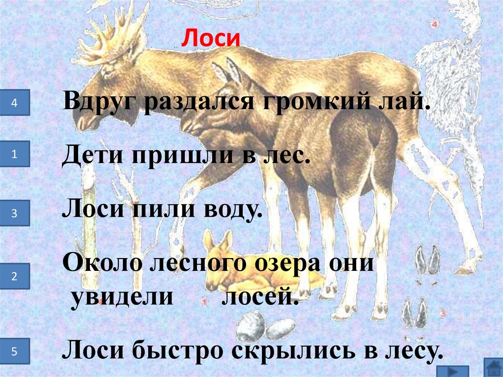 Лоси