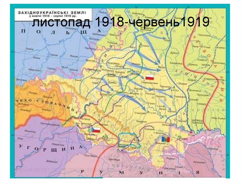 листопад 1918-червень1919