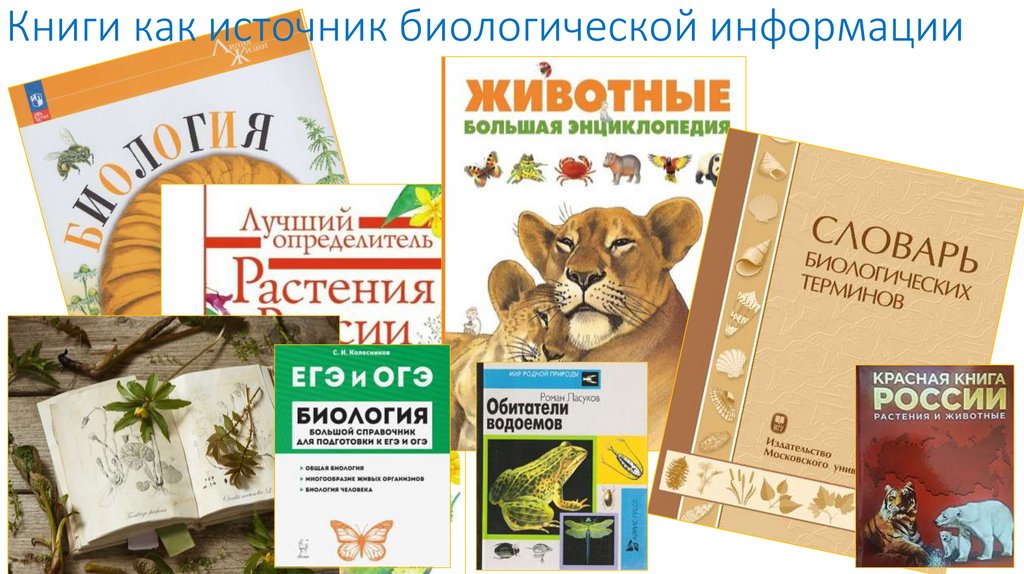 Книги как источник биологической информации