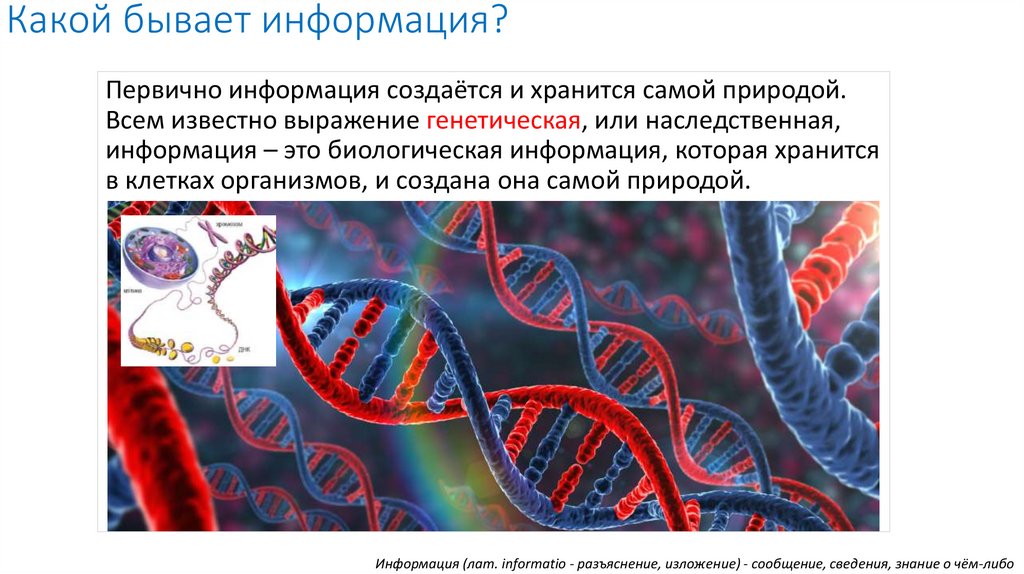 Какой бывает информация?