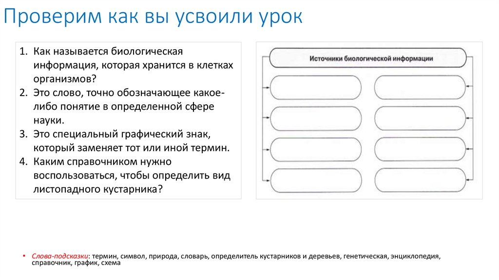 Проверим как вы усвоили урок