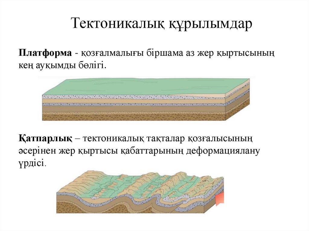 Тектоникалық құрылымдар