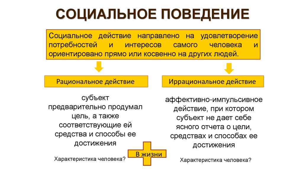 СОЦИАЛЬНОЕ ПОВЕДЕНИЕ