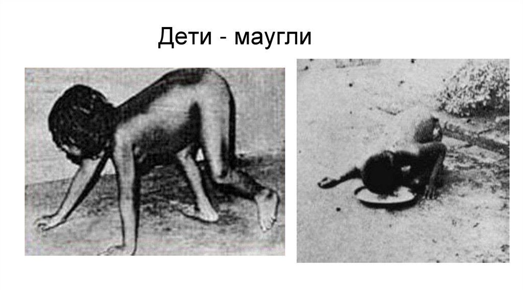 Дети - маугли