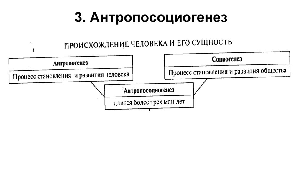 3. Антропосоциогенез
