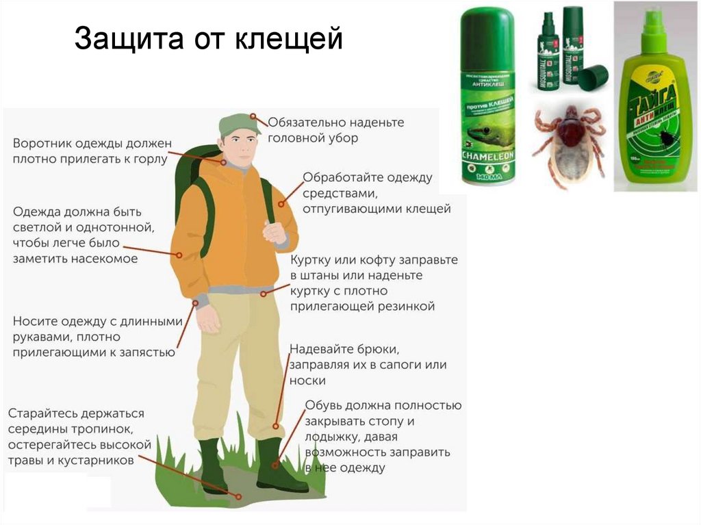 Защита от клещей
