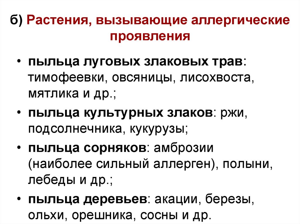 б) Растения, вызывающие аллергические проявления