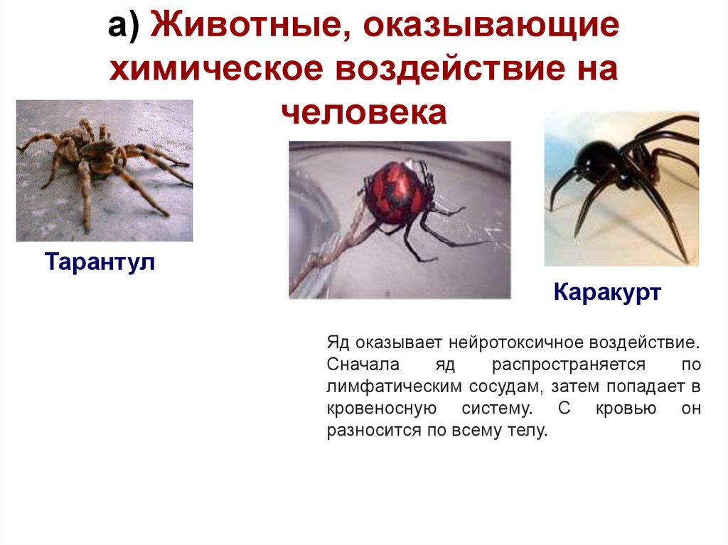 а) Животные, оказывающие химическое воздействие на человека