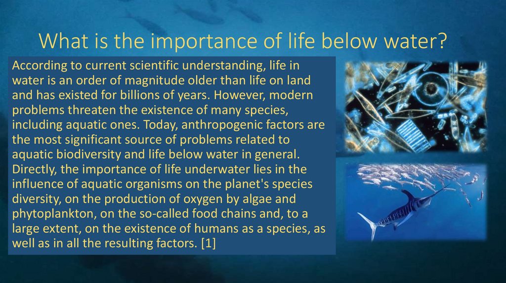 What is the importance of life below water?